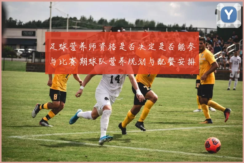 足球营养师资格是否决定是否能参与比赛期球队营养规划与配餐安排
