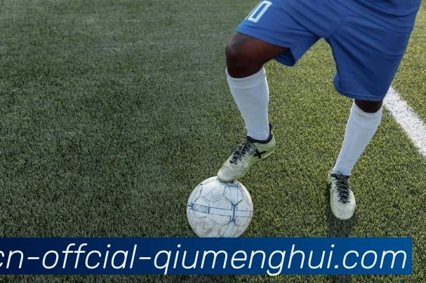 球盟会发展历程